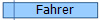 Fahrer